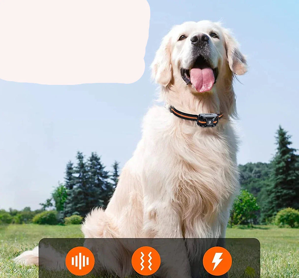 Prémium 1000m kutyakiképző nyakörv távirányítóval - vízálló, újratölthető elektromos nyakörv minden kutyamérethez