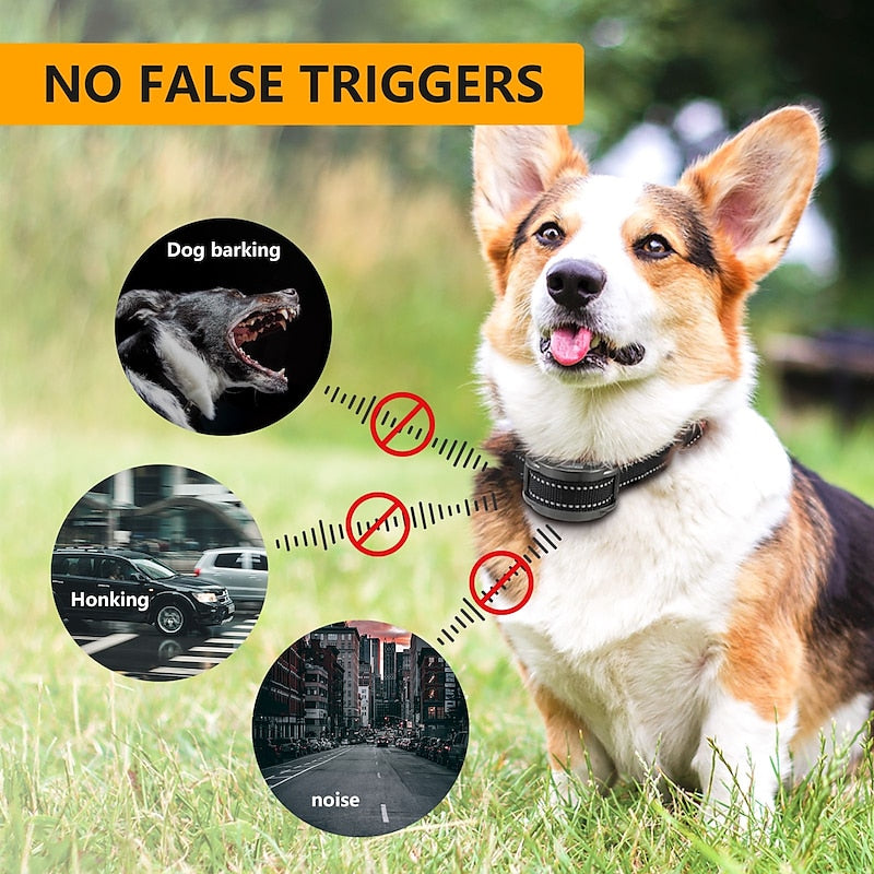 Collare Regolabile Antiabbaio per Cani – 3 Modalità, Impermeabile, Adatto a Tutte le Taglie