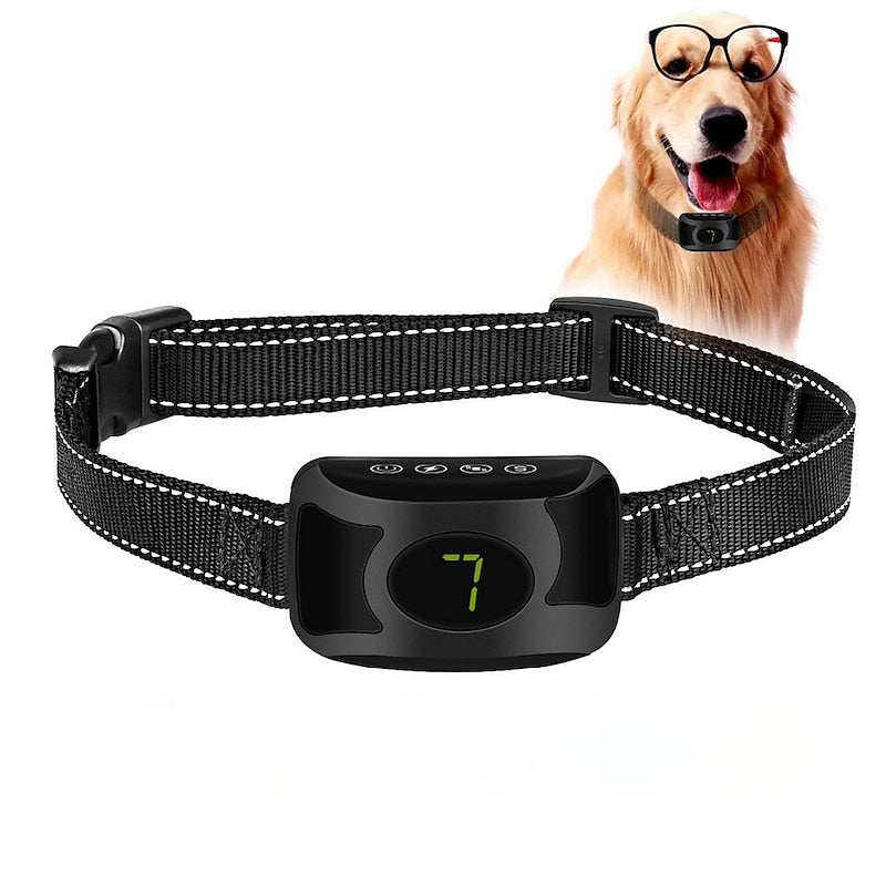 Collier anti-aboiements rechargeable avec sensibilité réglable et modes d'entraînement
