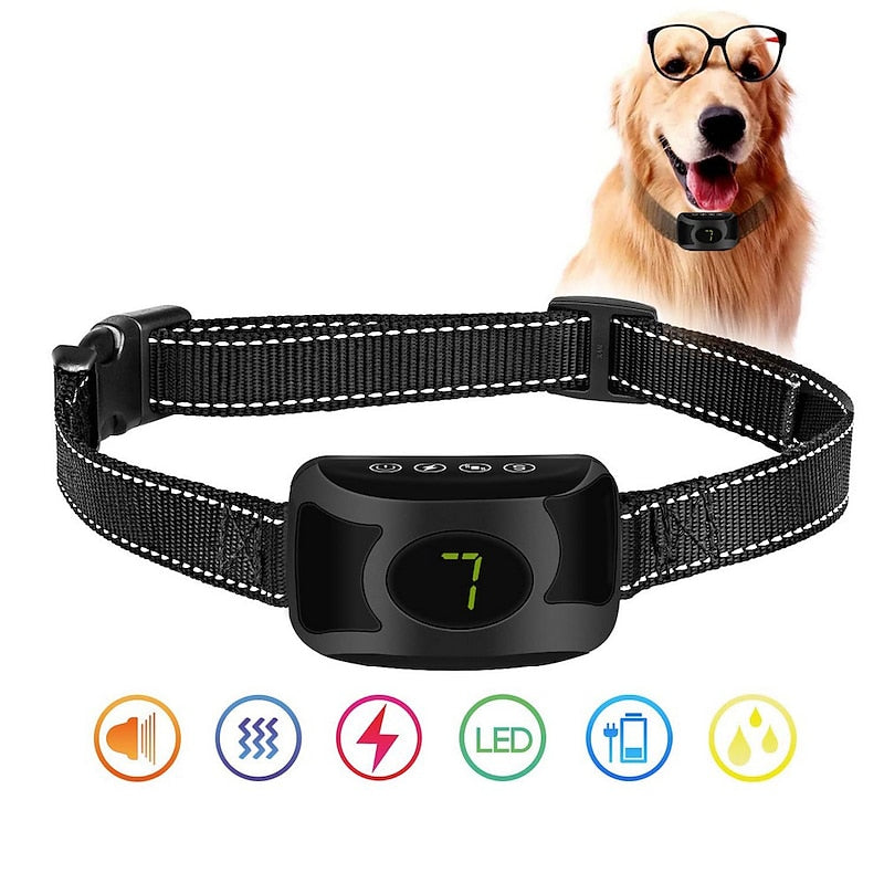 Collier anti-aboiements rechargeable avec sensibilité réglable et modes d'entraînement