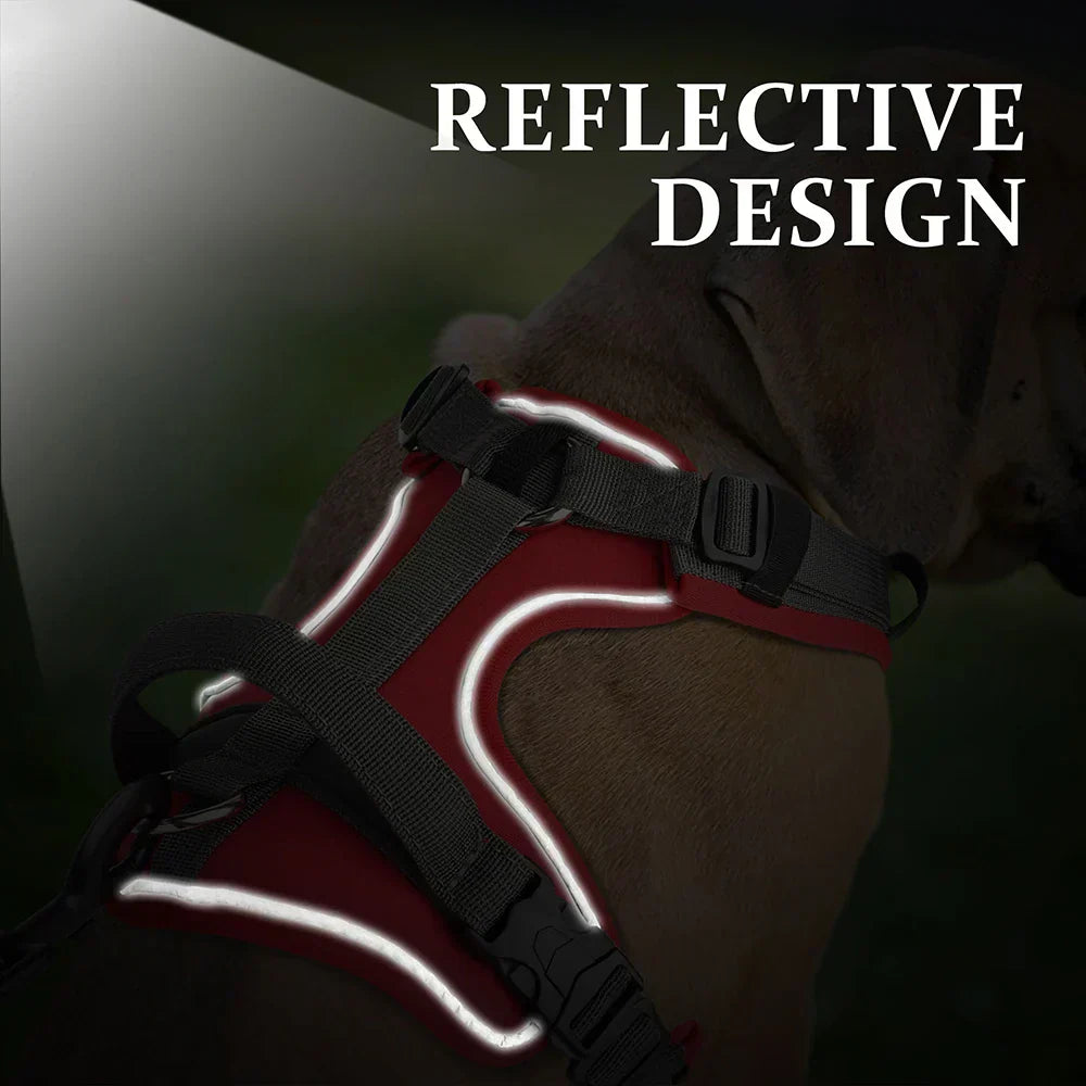 Kavaro | 反射トリムと頑丈なハンドル付きアジャイルドッグハーネス | Orntli