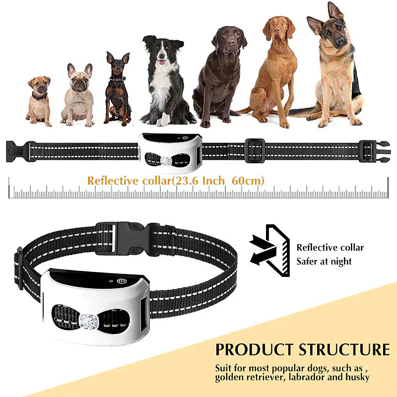 2-In-1 Wireless Dog Fence And Outdoor Training Collar