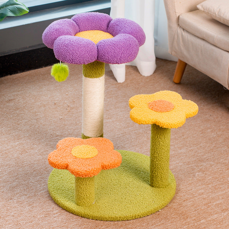 Kattekradsetræ med blomstrende blomst