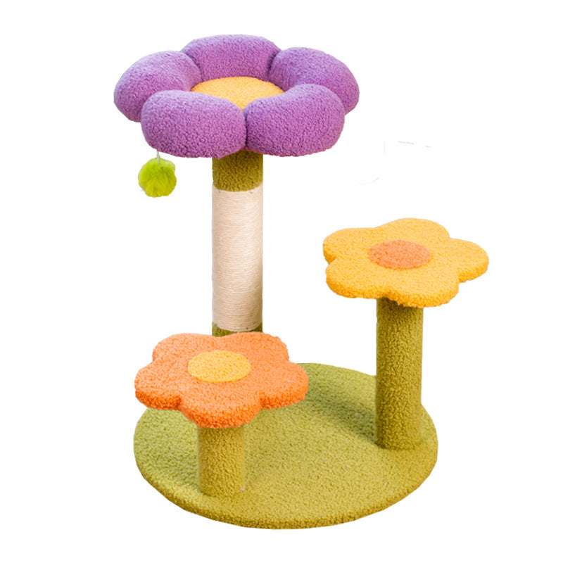 Kattekradsetræ med blomstrende blomst