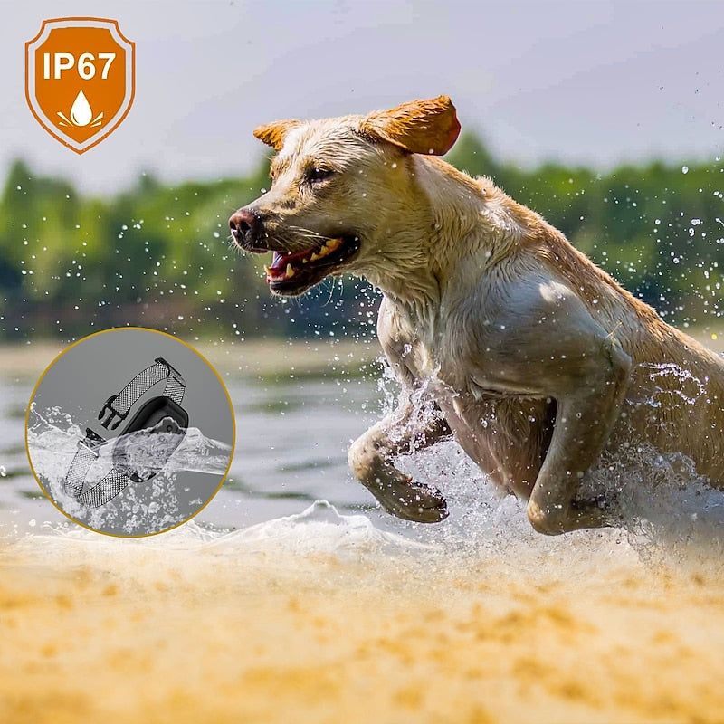 Collier anti-aboiement pour chien - Étanche et identification intelligente
