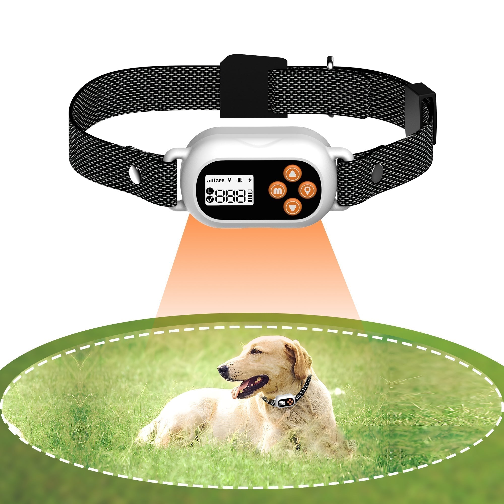 Pawfey SmartPro F820 GPS kabelloses Hundezäunehalsband