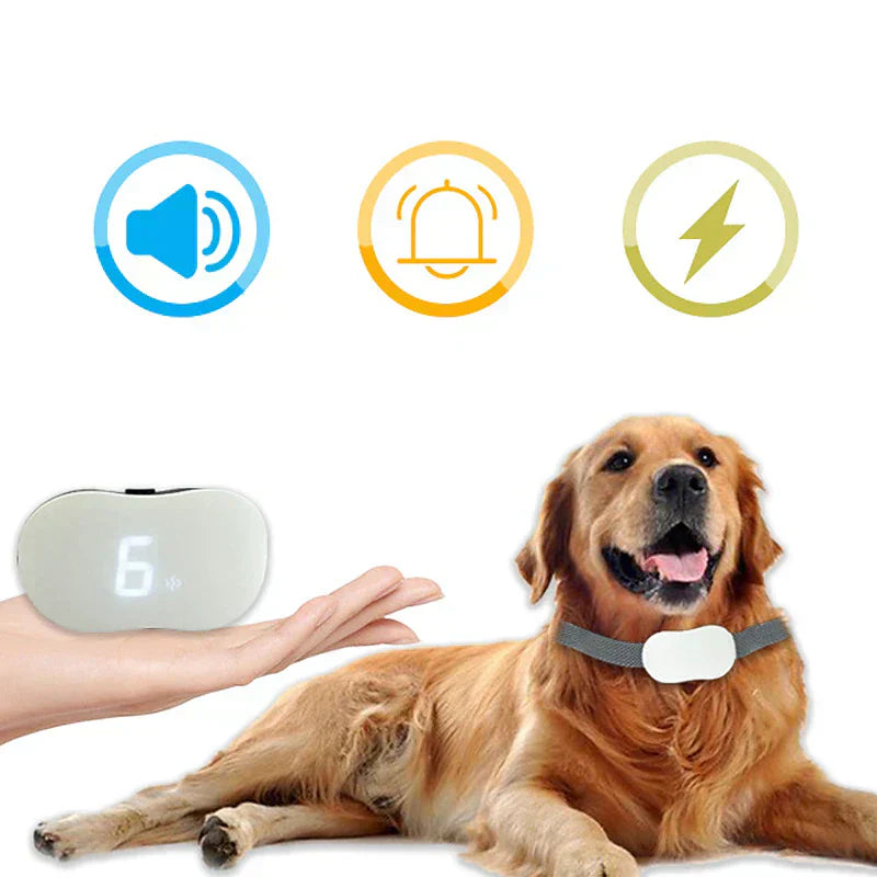 Collier de dressage intelligent à ultrasons anti-aboiements pour chien
