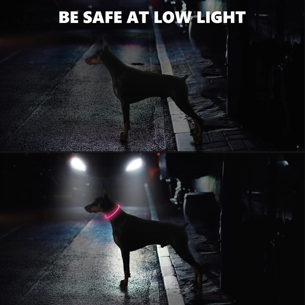 طوق كلب LED، أطواق كلاب، طوق قابل لإعادة الشحن للتمشية الليلية اللامعة