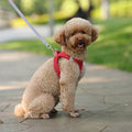 Weiches Hundegeschirr aus Mesh mit kostenloser Leine