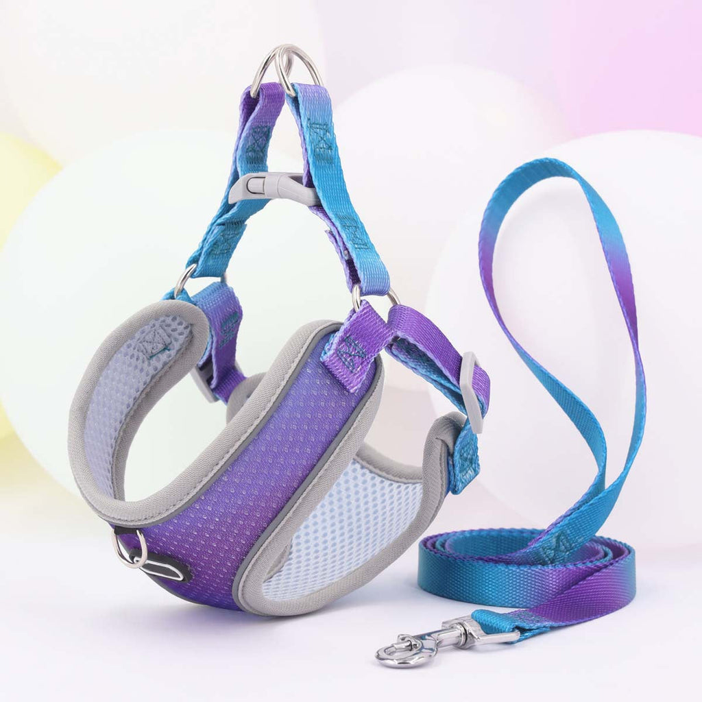 Reflektierendes Hundegeschirr aus Mesh mit Leine