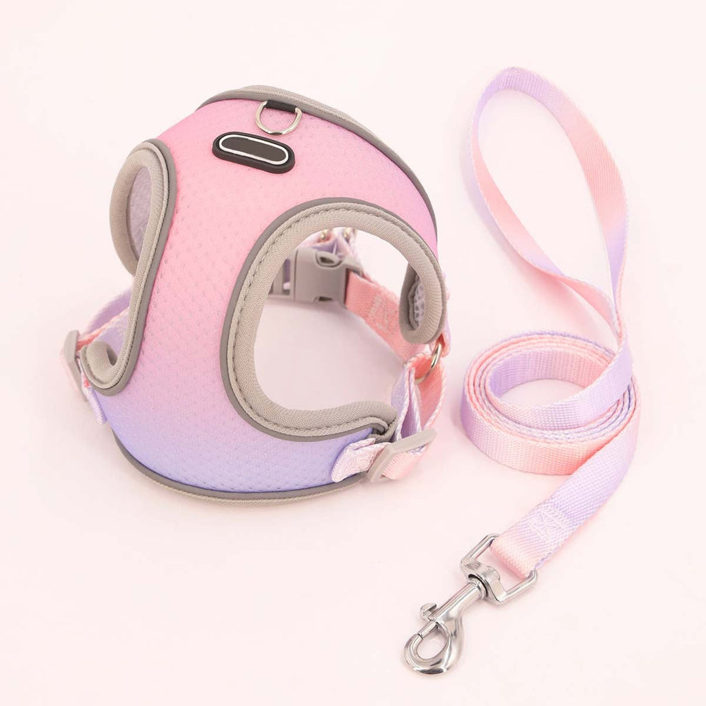 Reflektierendes Hundegeschirr aus Mesh mit Leine