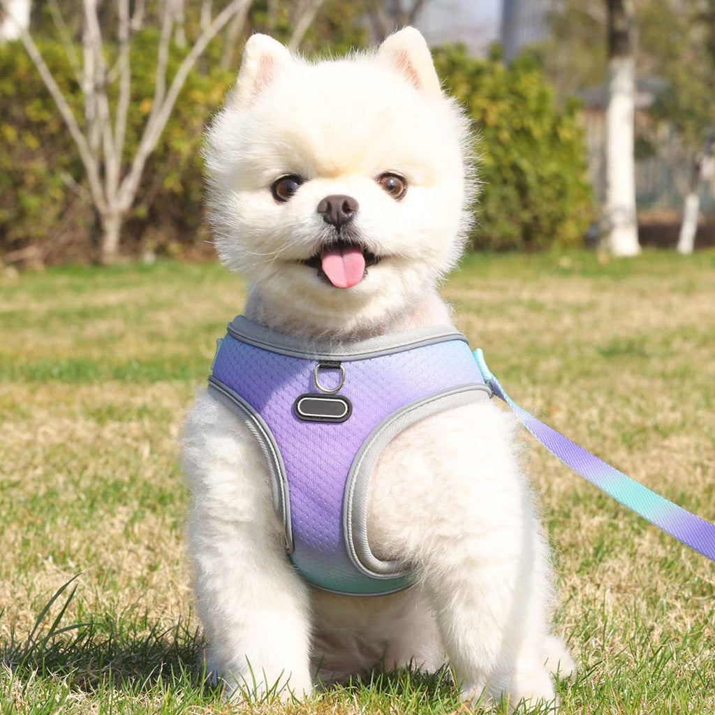 Reflektierendes Hundegeschirr aus Mesh mit Leine