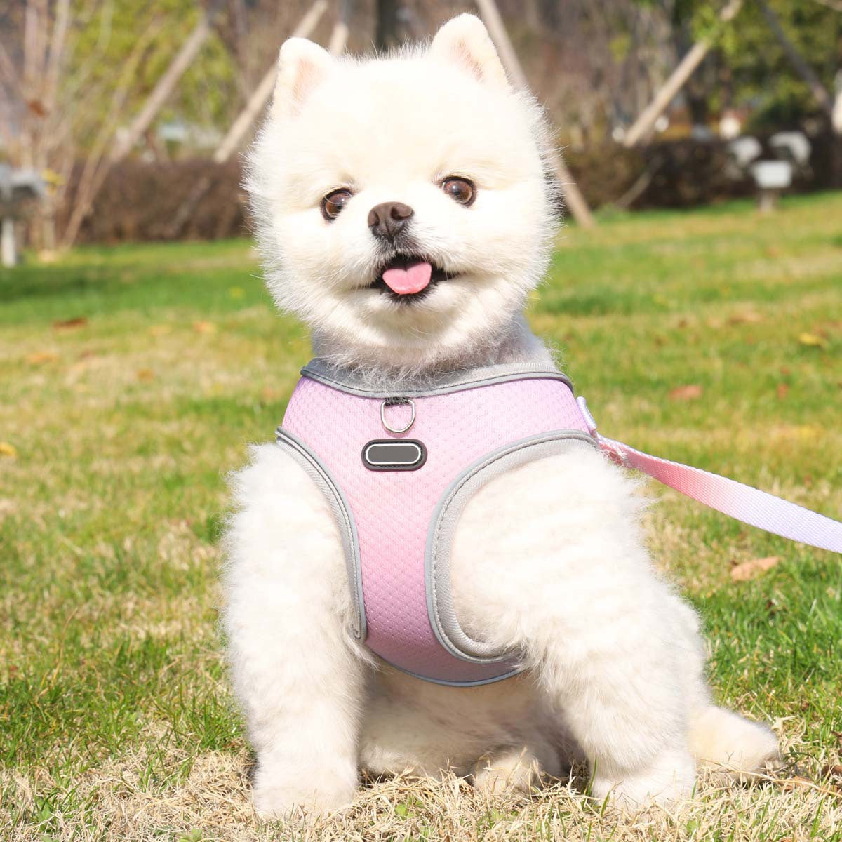 Reflektierendes Hundegeschirr aus Mesh mit Leine