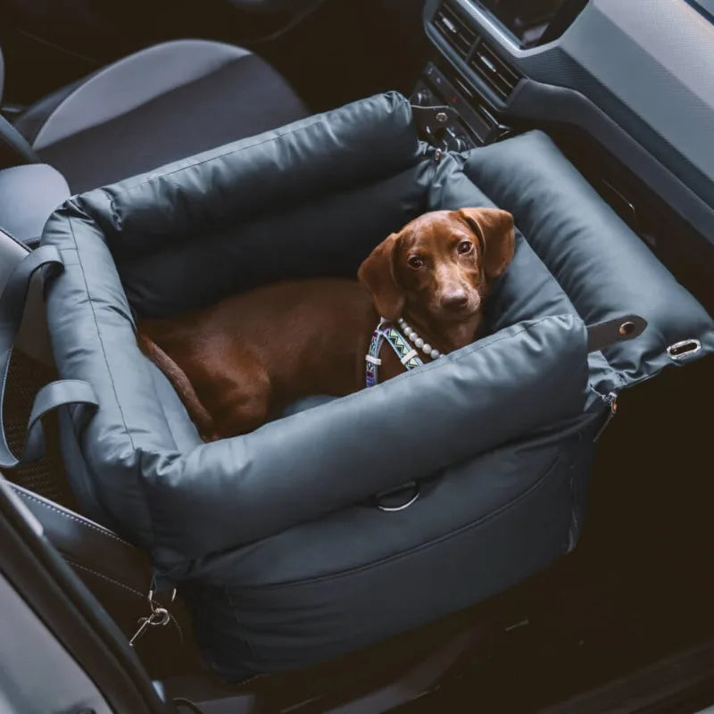 Hundeautositz mit erhöhter Sitzfläche und ausklappbarem Bett