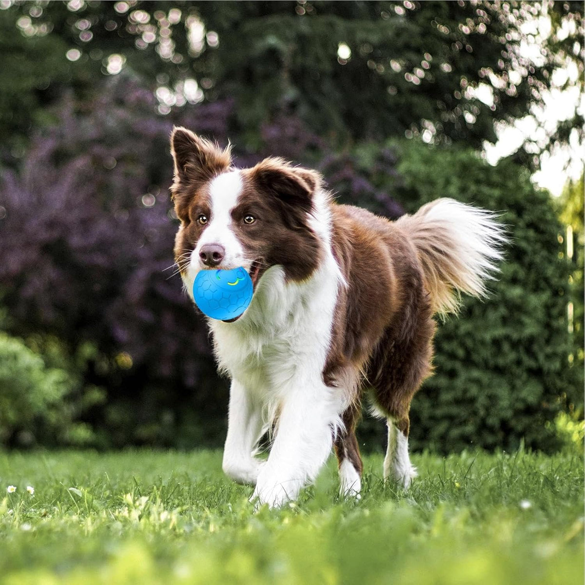 Interaktiver Smart-Spielball für Haustiere mit LED