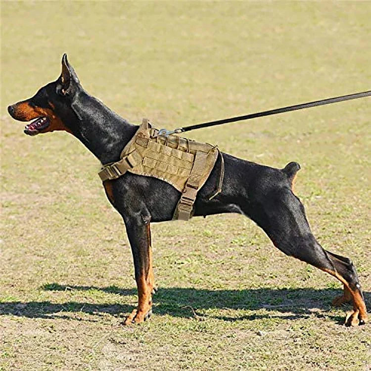 Imbracatura tattica per cani Pawfey con sistema MOLLE