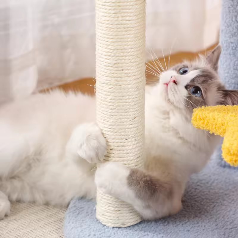 Arbre à chat et tours douillets façon château