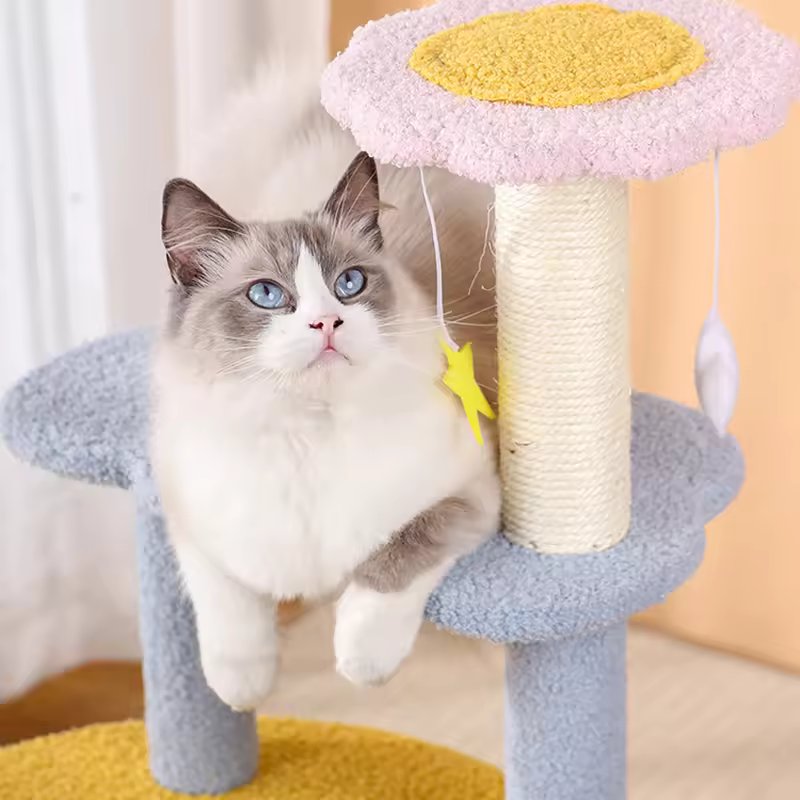 Arbre à chat et tours douillets façon château