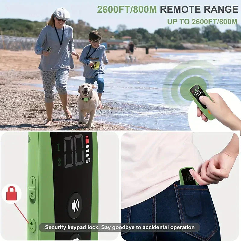 Collare per addestramento cani con segnale acustico e vibrazione, ricevitore elettrico impermeabile