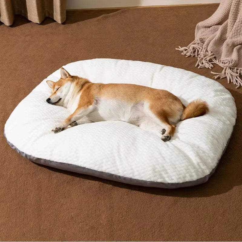 Dog Bed with Plush Memory Foam Cushion