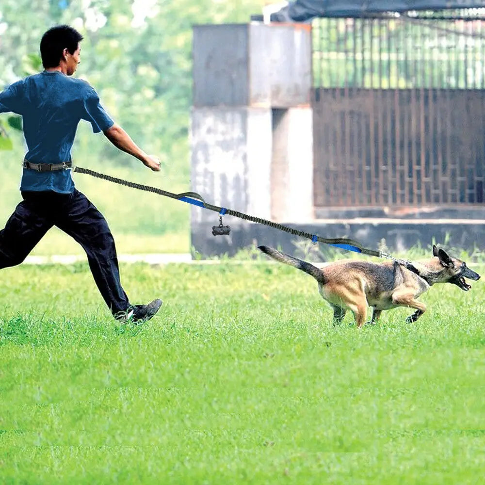 Guinzaglio per Corsa con Doppio Elastico a Mani Libere per Cani