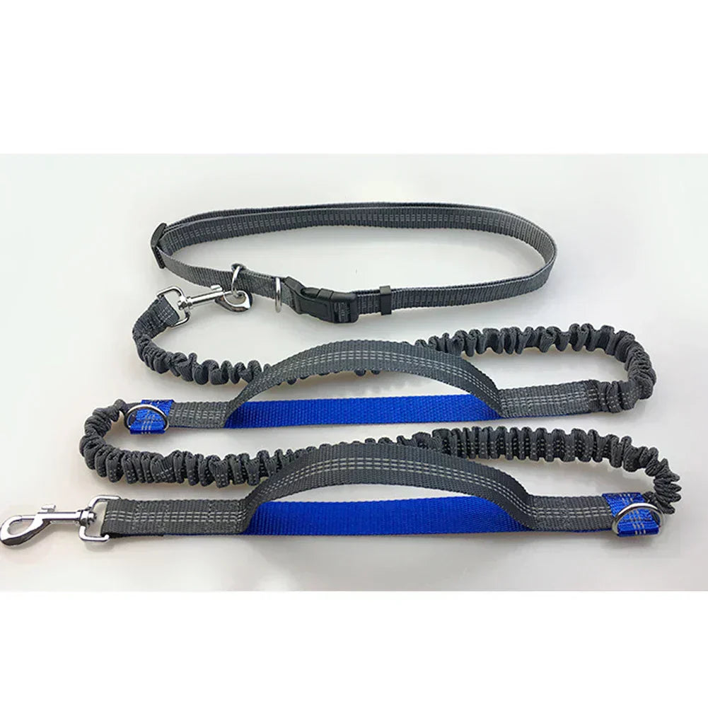 Guinzaglio per Corsa con Doppio Elastico a Mani Libere per Cani