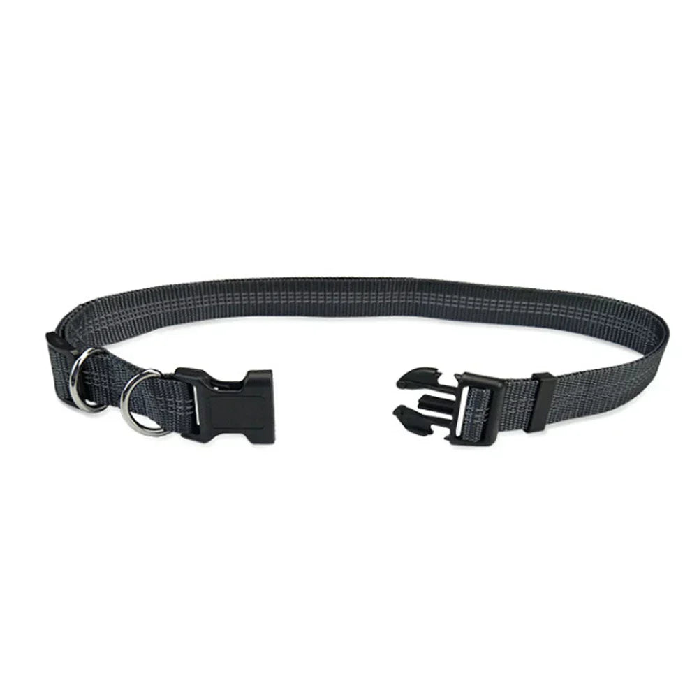 Guinzaglio per Corsa con Doppio Elastico a Mani Libere per Cani