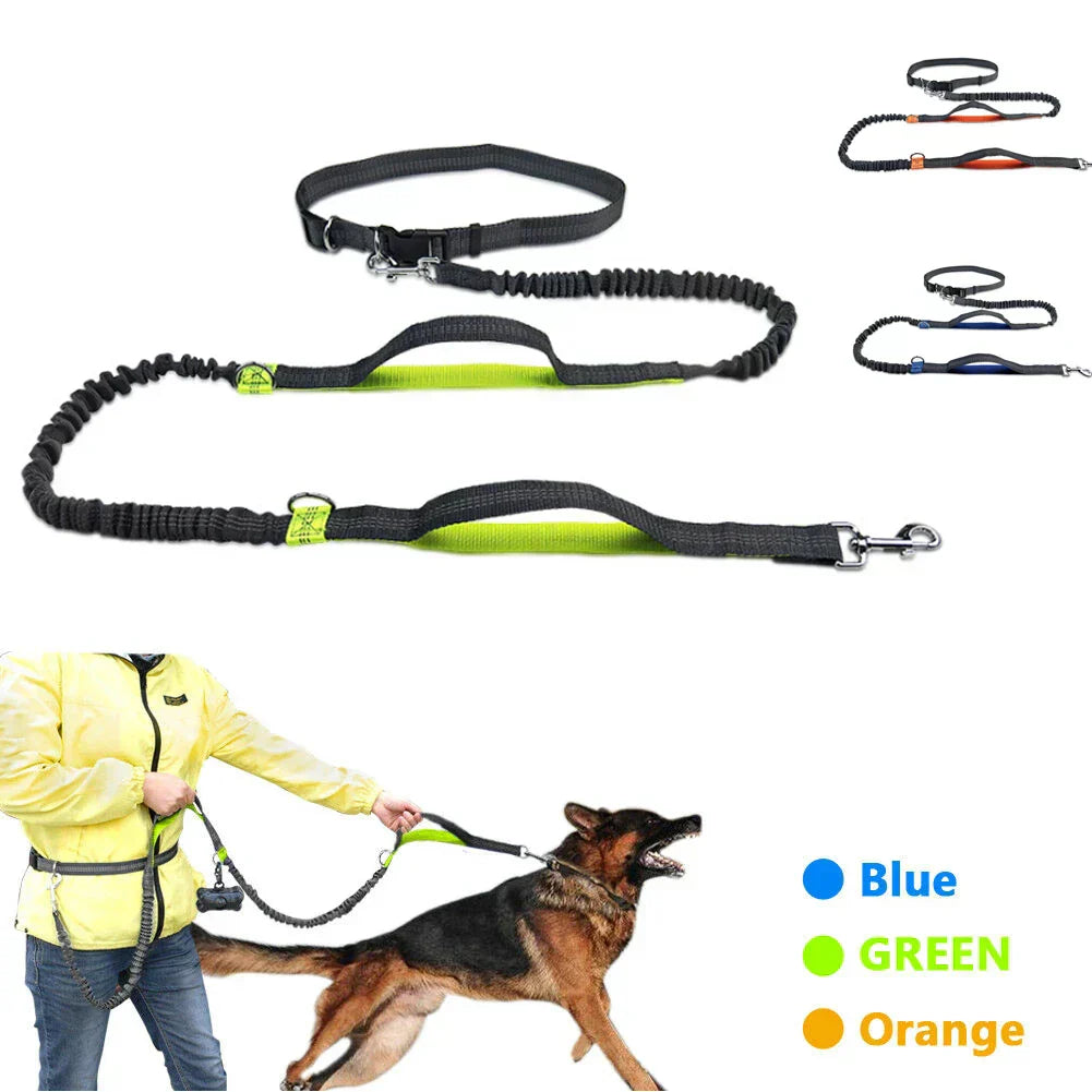 Guinzaglio per Corsa con Doppio Elastico a Mani Libere per Cani