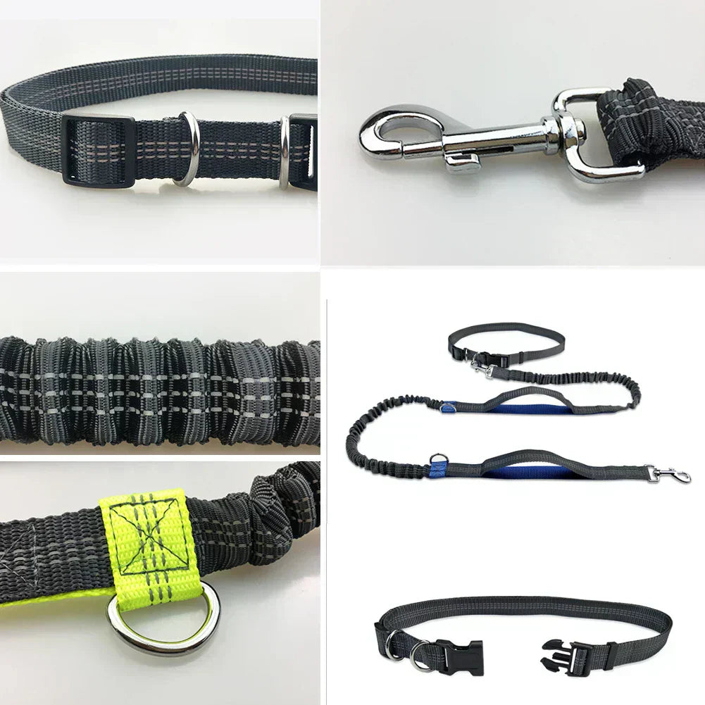 Guinzaglio per Corsa con Doppio Elastico a Mani Libere per Cani