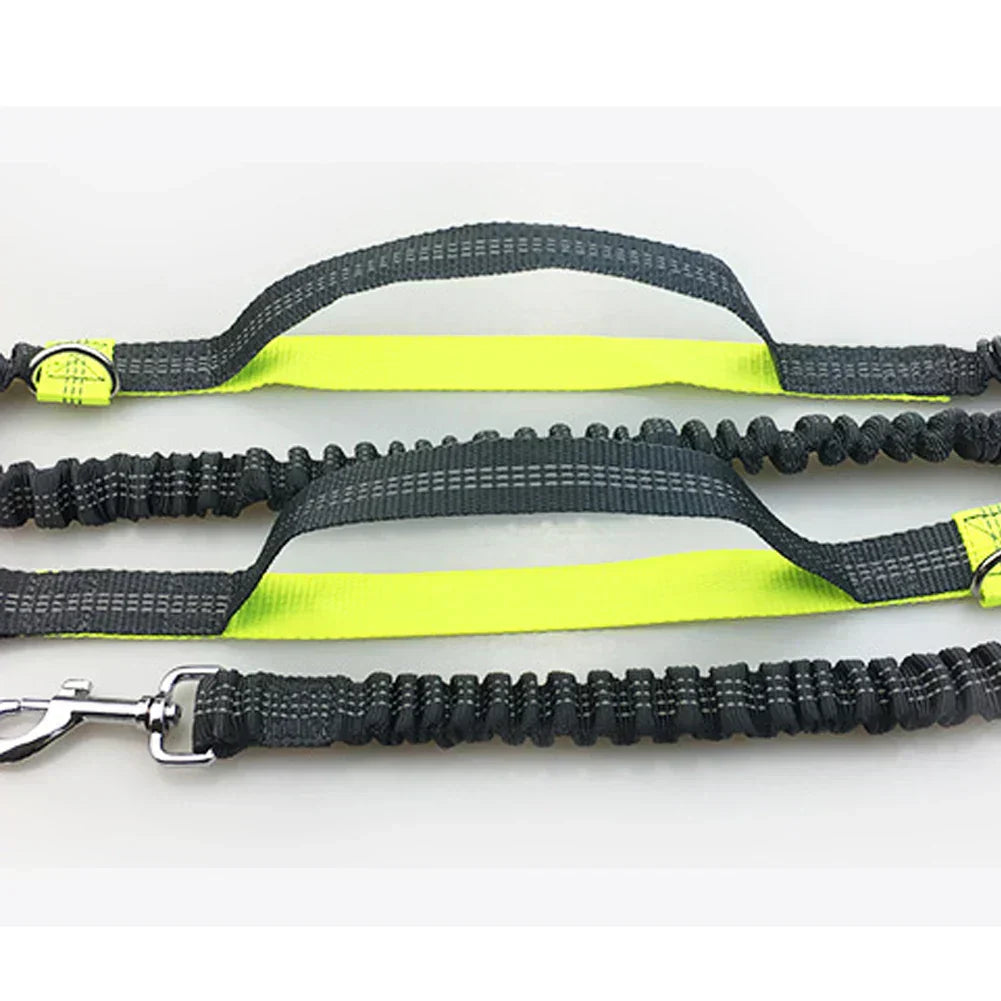 Guinzaglio per Corsa con Doppio Elastico a Mani Libere per Cani