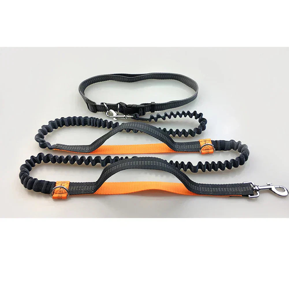 Guinzaglio per Corsa con Doppio Elastico a Mani Libere per Cani