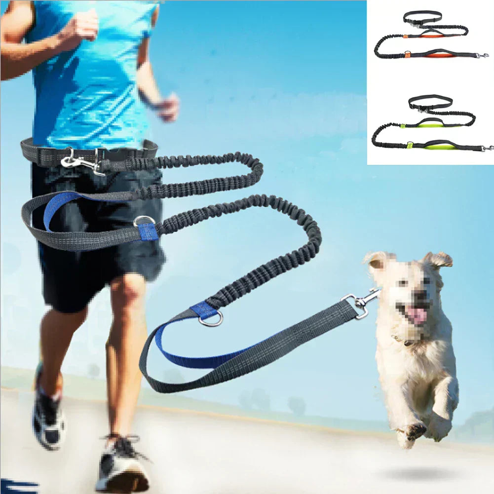 Guinzaglio per Corsa con Doppio Elastico a Mani Libere per Cani