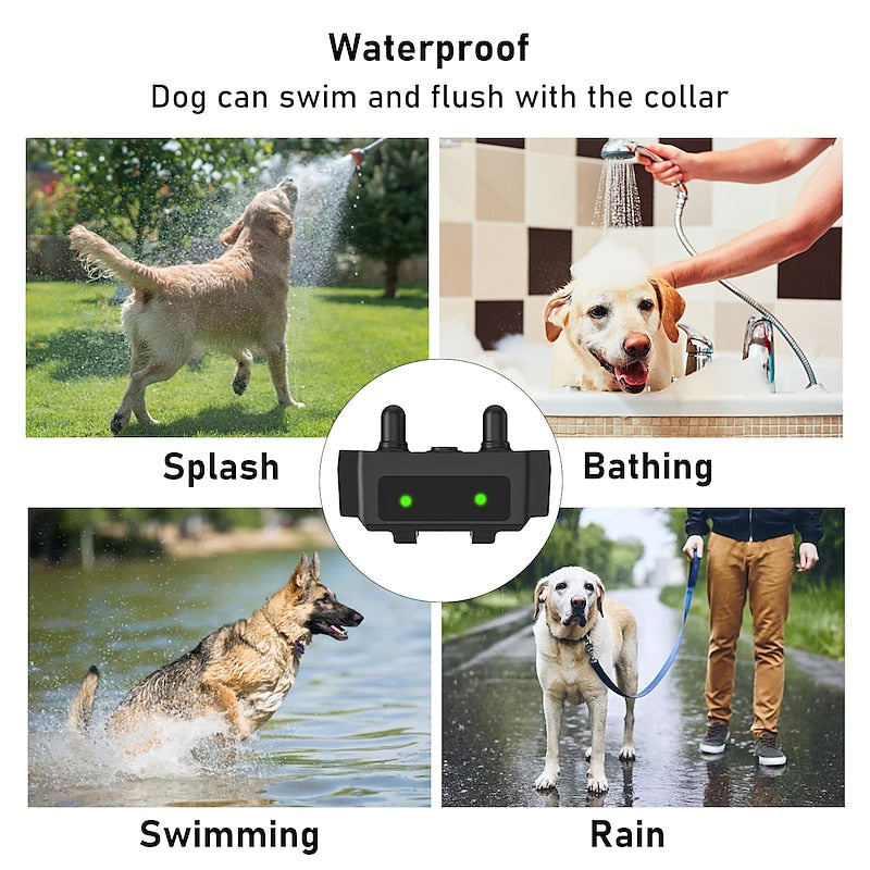 Collier de dressage pour chien étanche et rechargeable