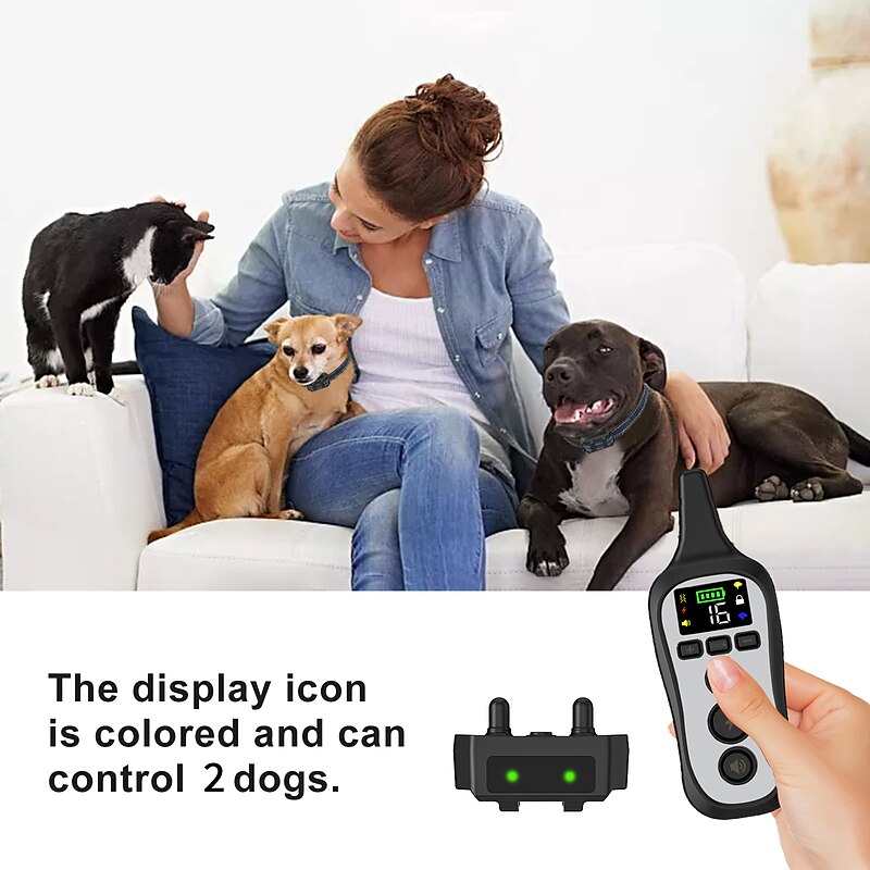 Collier de dressage pour chien étanche et rechargeable