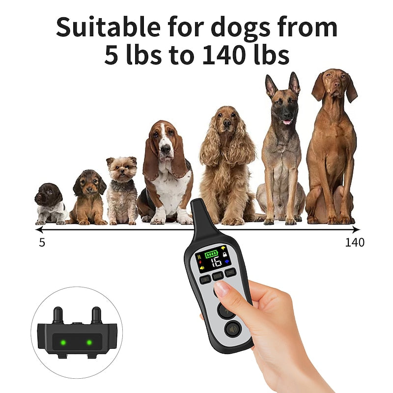 Collier de dressage pour chien étanche et rechargeable