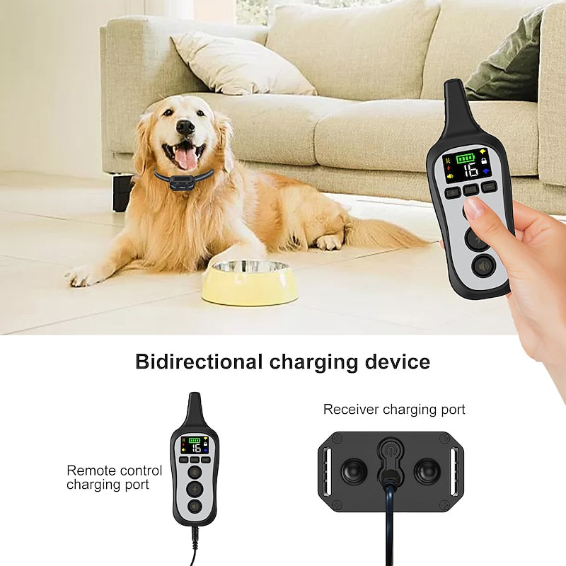 Collier de dressage pour chien étanche et rechargeable