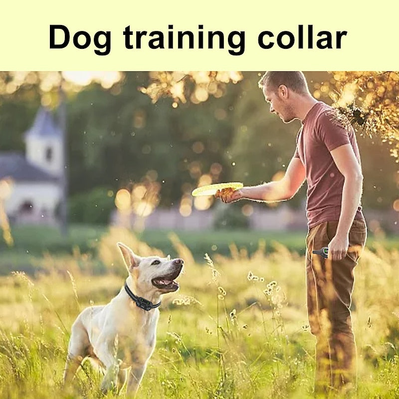 Collier de dressage pour chien étanche et rechargeable