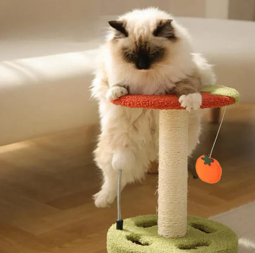 Verspielter Kratzbaum für Katzen