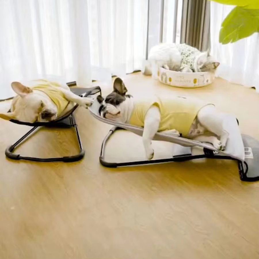Cama mecedora para cachorros de exterior - Comodidad prémium para tu amigo peludo