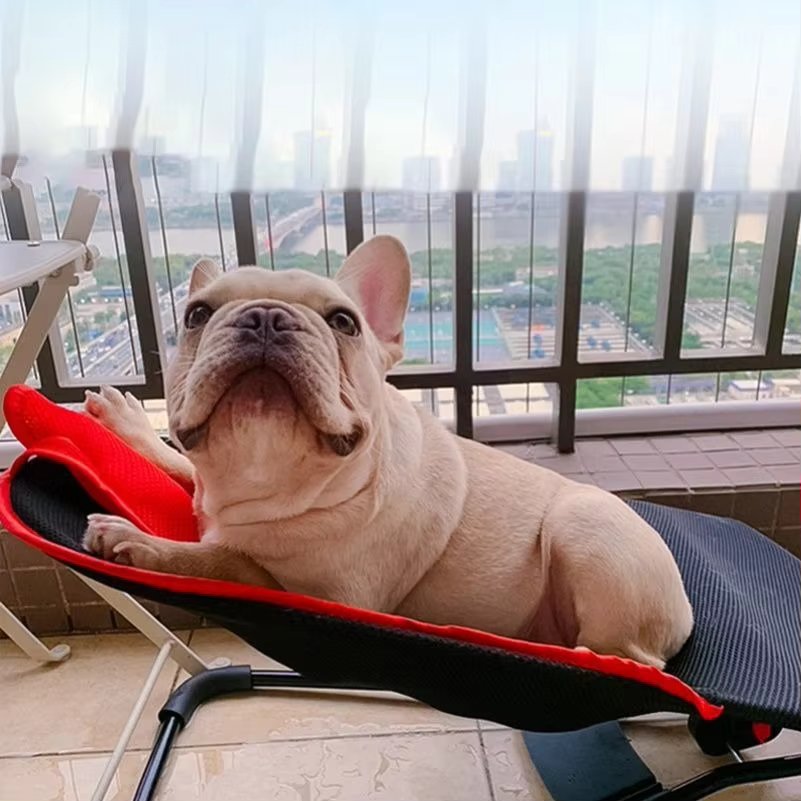Cama mecedora para cachorros de exterior - Comodidad prémium para tu amigo peludo