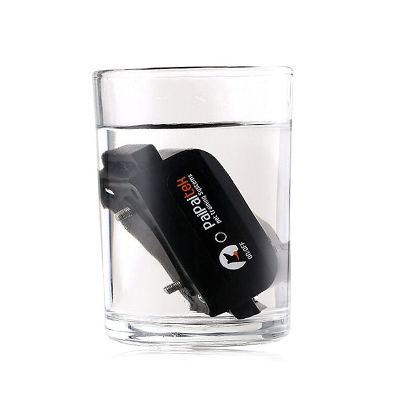 Újratölthető 1000m vízálló kutyakiképző nyakörv