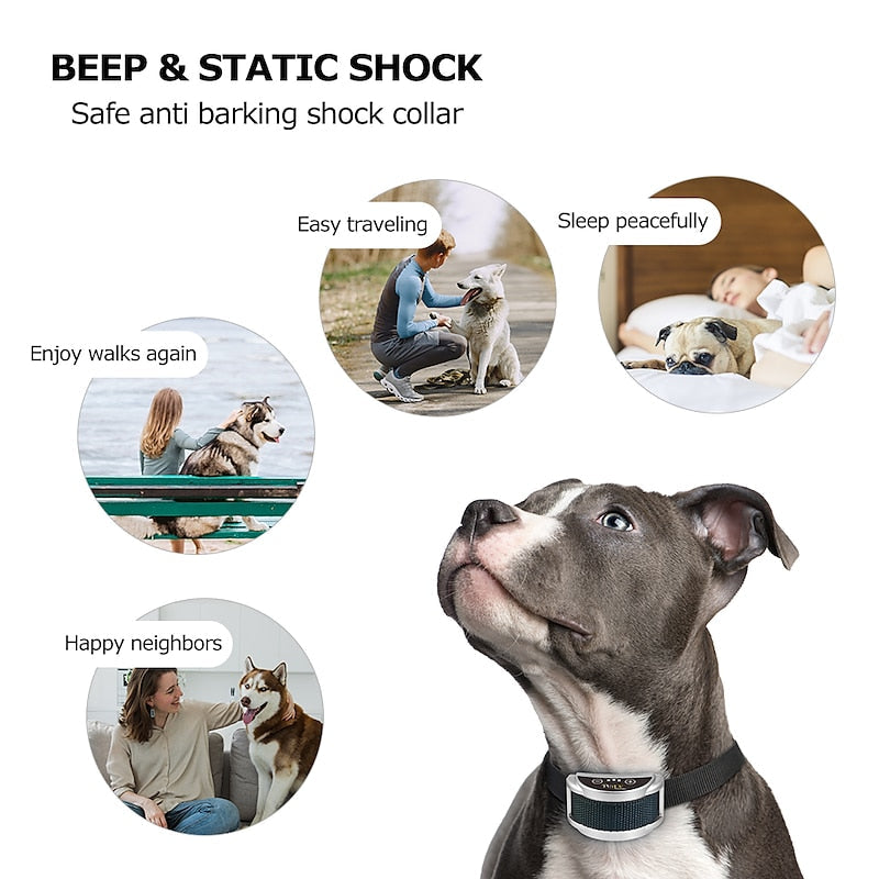 ZenGuard Wiederaufladbares Hundehalsband gegen Bellen fr alle Rassen   orntli