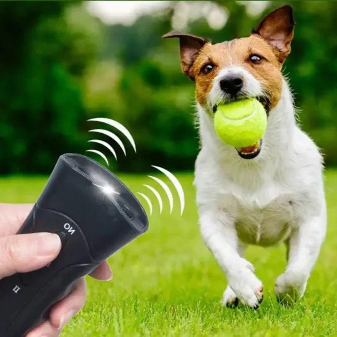 מכשיר לשליטה בנביחות אולטרסוני PawCalm לאילוף