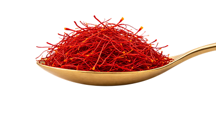 Golden spoon heaped with deep red saffron threads