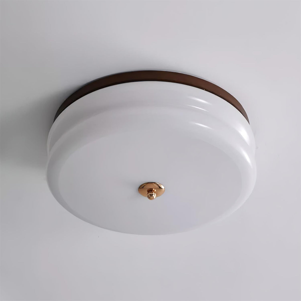 Minimalist Double-Layer Glass Disc Ceiling Light — Walnut Wood, Integrated LED