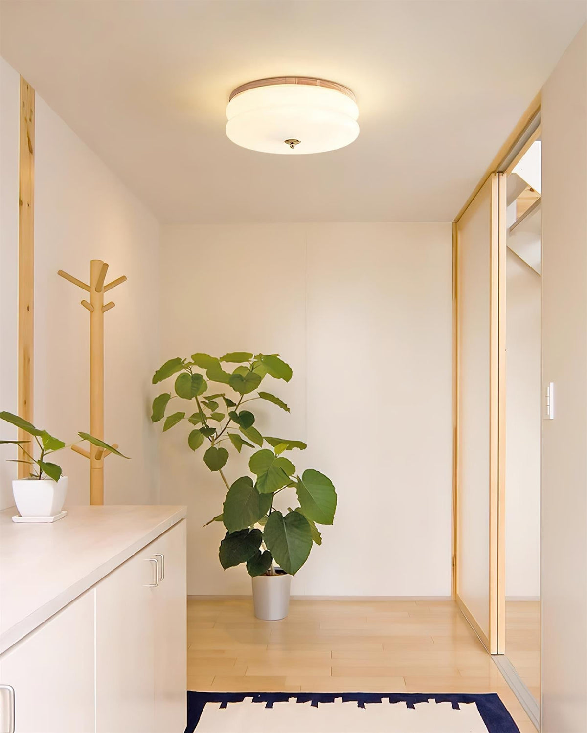 Minimalist Double-Layer Glass Disc Ceiling Light — Walnut Wood, Integrated LED