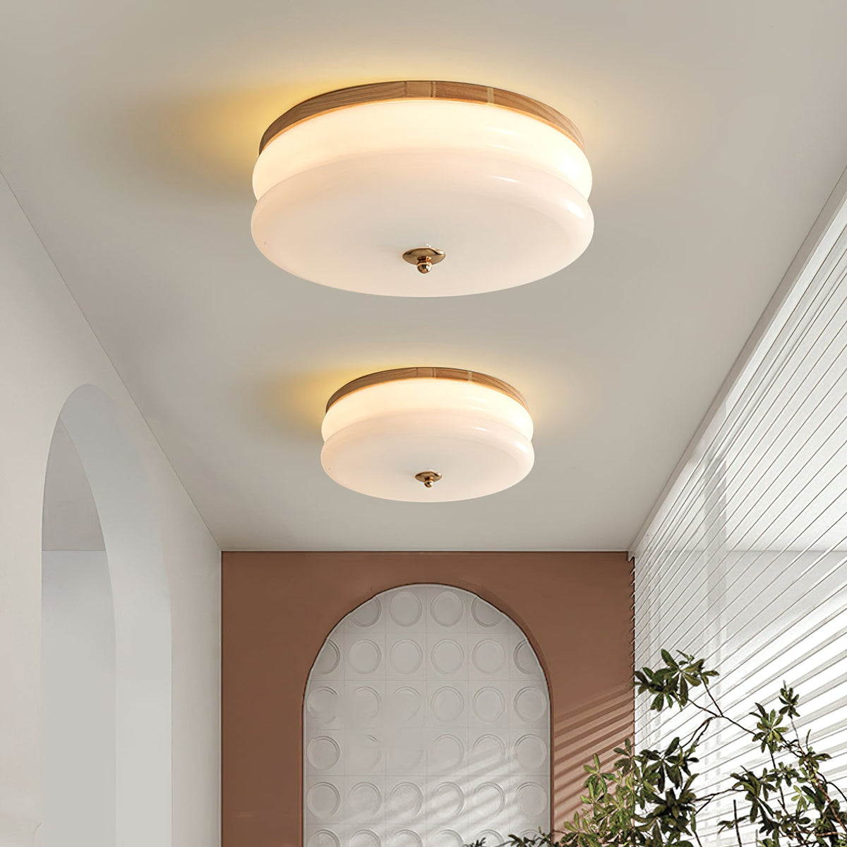 Minimalist Double-Layer Glass Disc Ceiling Light — Walnut Wood, Integrated LED