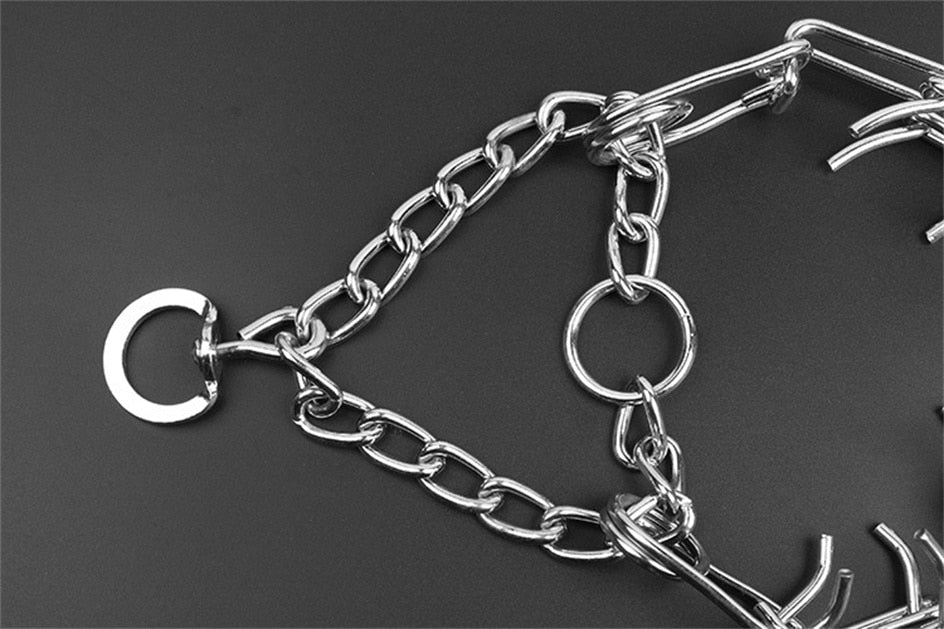 Collare PawNova Pincher per Cani Edizione B Elegante Uso Quotidiano