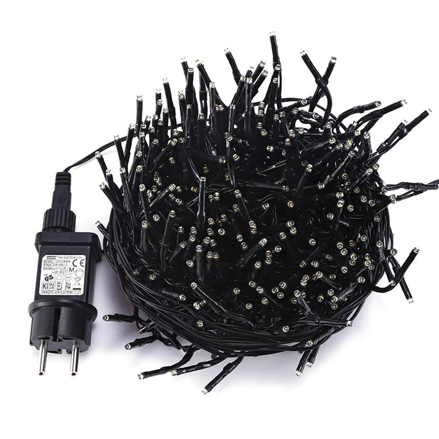 エクラセレスト - クリスマス用フェアリーランプストリング