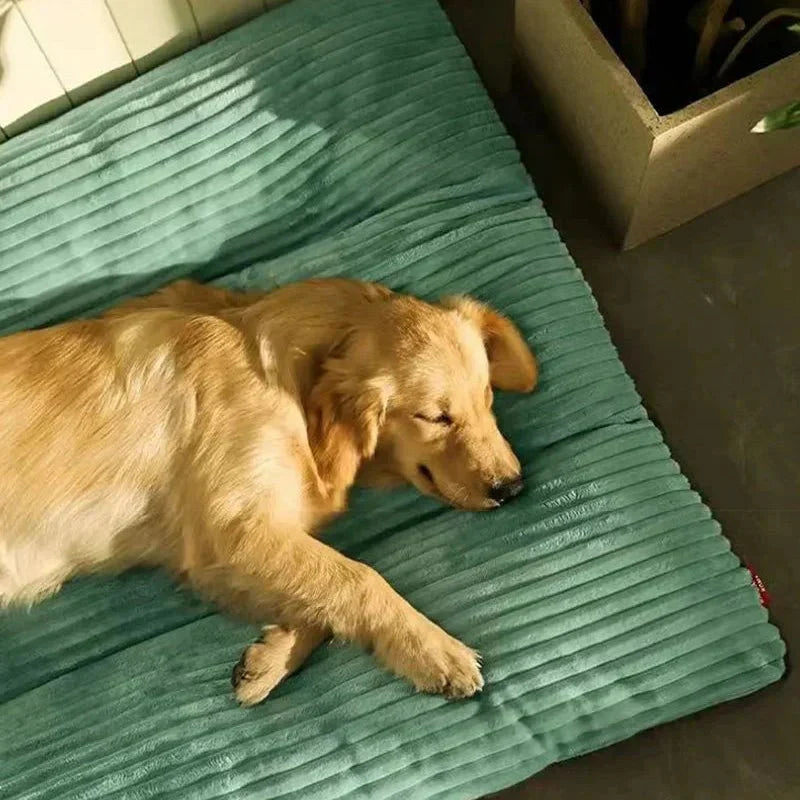 Ortopedik köpek yatağı, rahat uyku için peluş konfor sağlar